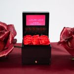 Luxury Video Box met Rode Rozen (Standaard)